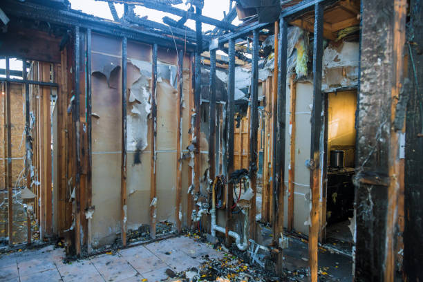Professional Fire Damage Removal technician working in Keokea, HI